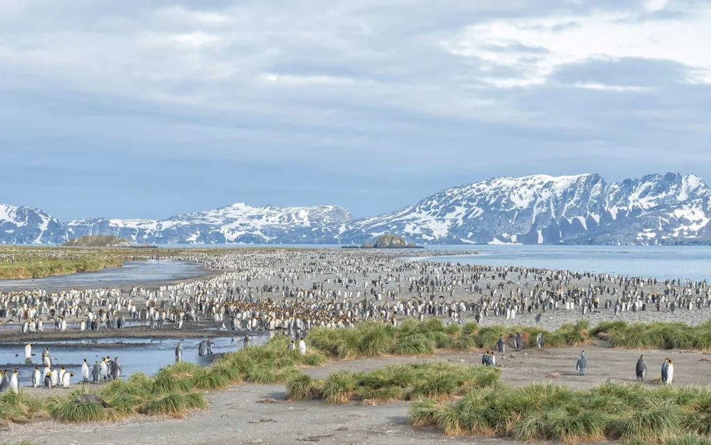 ANTARCTICA FACTS THAT YOU DIDN T KNOW visual data 5