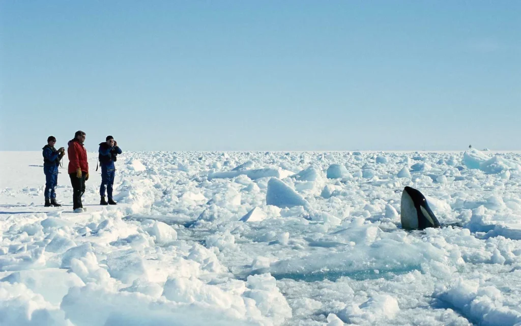 ANTARCTICA FACTS THAT YOU DIDN T KNOW visual data 7